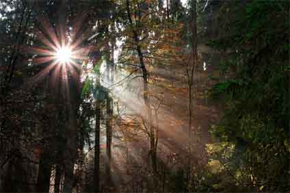 Landschaft Teutoburger Wald