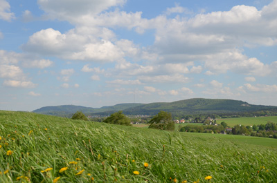 Pflanzen Teutoburger Wald